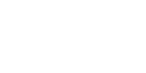 MST_wit